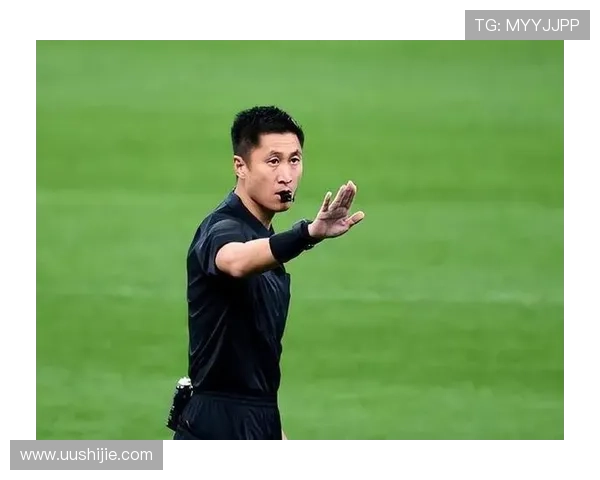 马宁连续入选世界杯裁判名单 彰显实力 马宁连续入选世界杯裁判名单 彰显实力